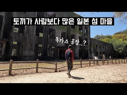 일본 여행 | 세상을 토끼가 지배하는 일본 섬마을 여행 #히로시마