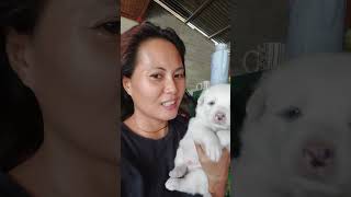 Im With Carla And Her Puppy