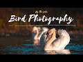 Canon R6 At It’s Best | BIRD PHOTOGRAPHY