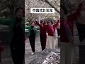 中国式お花見 #桜
