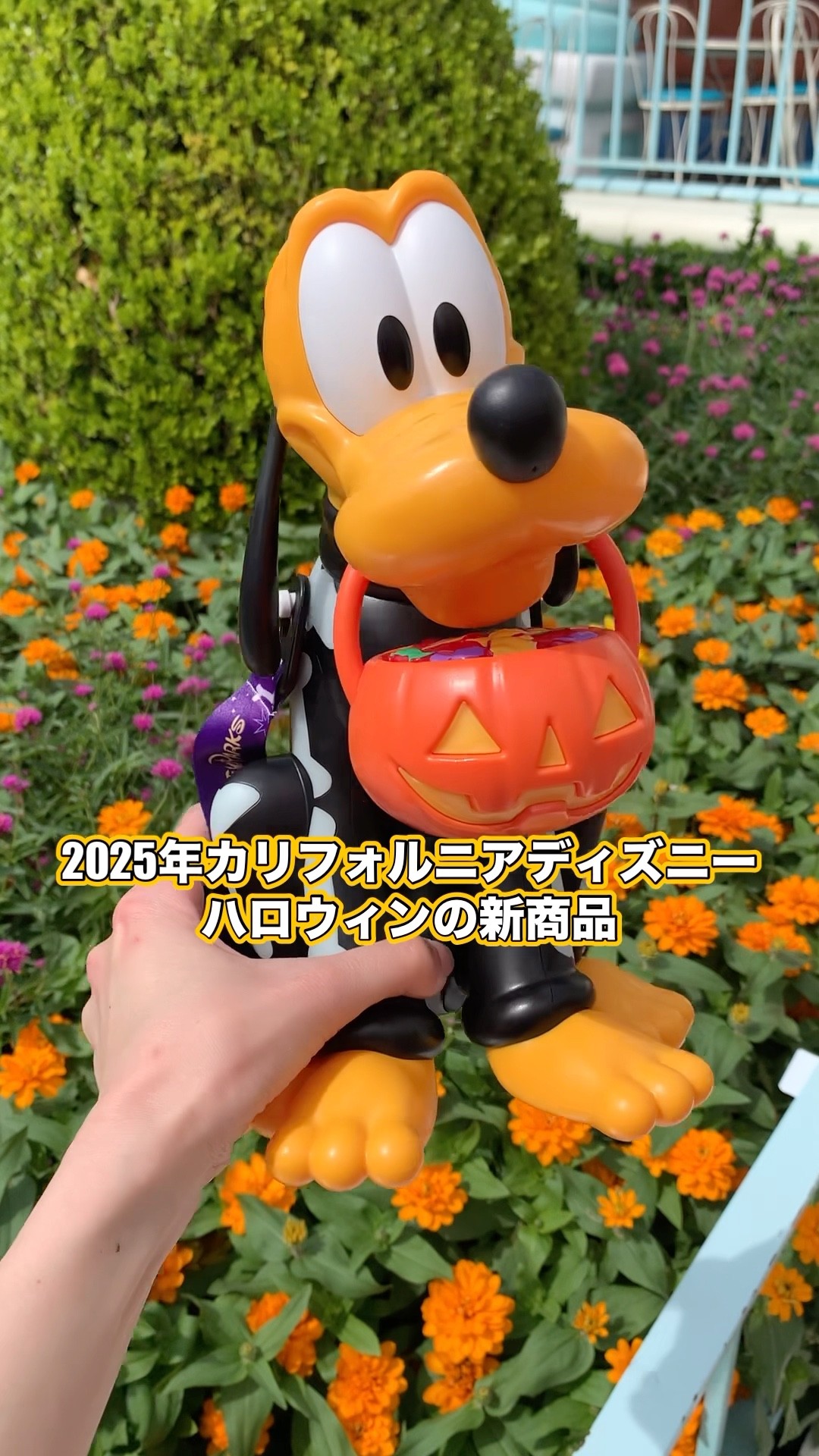 🆕ハロウィンドリンク入れ2025年カリフォルニアディズニー - YouTube