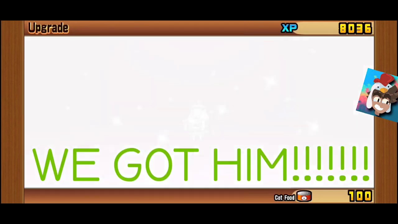 Pogo Cat's Catfruit Evolution! The Battle Cats YouTube