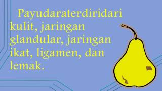 Mengapa Ukuran Payudara Kanan dan Kiri Tak Sama