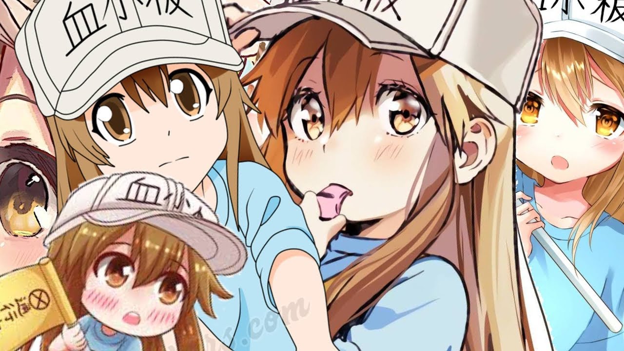 Quick Thoughts on Hataraku Saibou – The Visualist's Veranda