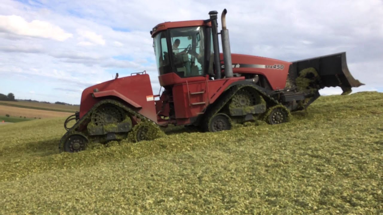 Pushing silage with a REAL tractor YouTube
