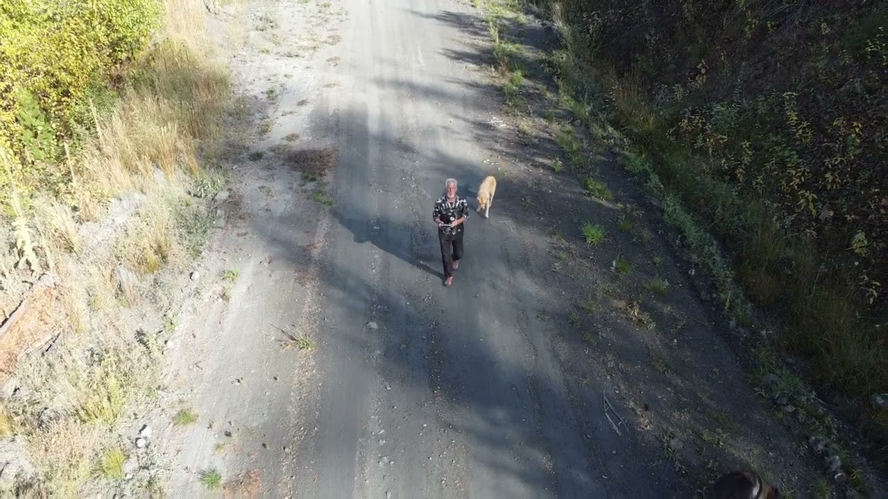 more BC Valley views DJI MINI 2 DRONE N DOGS N DABS EH
