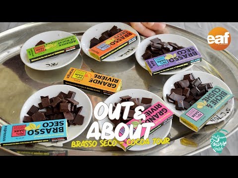 Brasso Seco Cocoa Tour | Out & About