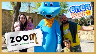 ZOOM - IL PARCO DEGLI ANIMALI, UNO ZOO BELLISSIMO screenshot 3