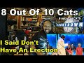 "I Said Don't Have An Erection!" | Joe Wilkinson Best Bits 8 Out Of 10 Cats Does Countdown Reaction