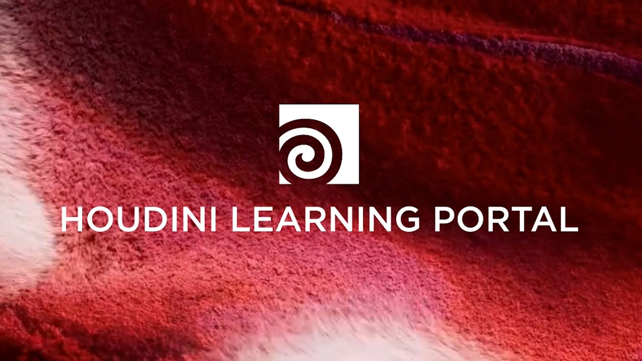 Houdini Learning Portal | Alasgar Hasanov | HEX