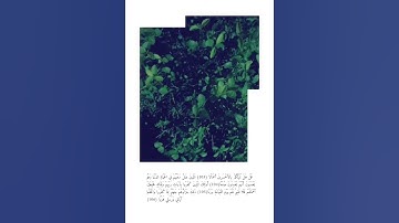 تلاوة جميلة -سورة الكهف /إسلام صبحي