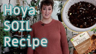 HOYA Potting Mix: Ratios & Tips! | DreamsofHoya @dreamsofhoya