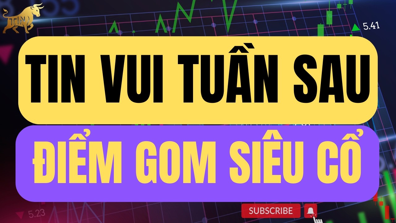 Chứng khoán hôm nay | Nhận định thị trường : TIN VUI TUẦN SAU - ĐIỂM GOM SIÊU CỔ