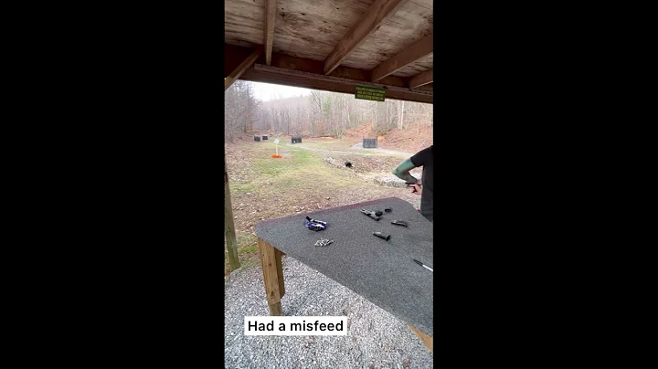 Sig P365 .380 and the 9mm