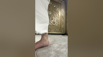 فواتح سورة هود لفضيلة الشيخ #ياسر_الدوسري من تراويح ليلة 15 رمضان 1444 هـ