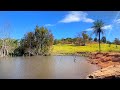 ENCONTRAMOS UM PARAÍSO PARADÍSIACO DENTRO DA MATA! FRAN ADORNO