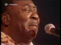 Muddy Waters - I Got My Mojo Working