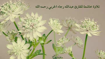 تلاوة خاشعة للقارئ عبدالله رجاء الحربي رحمه الله