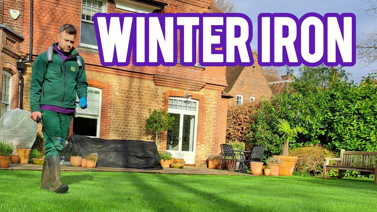 Зимняя обработка газона железом (почему важно правильно выбрать время)