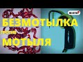 Безмотылка против Мотыля. Вся рыба выстроилась в очередь.