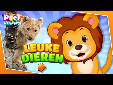 Dieren leren met Meo de Leeuw - Aflevering 1 De Leeuw | Dieren filmpjes met Dierentuin Dieren