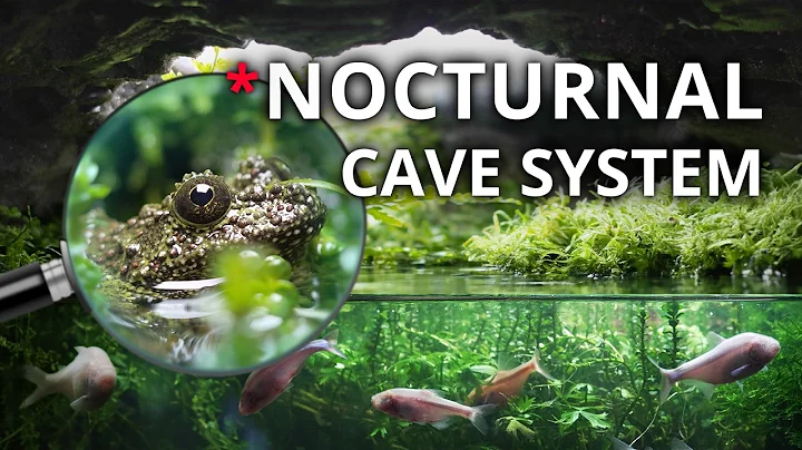 Inside My Flooded Cave Ecosystem (One Year of Growth)