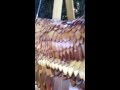 Insane woodwork. Bald Eagle. Insane woodwork. Bald Eagle.