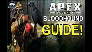 Apex Legends Bloodhound Guide