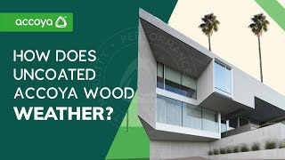 Accoya wood weathering | What to expect with uncoated Accoya