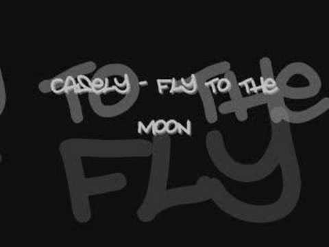 Fly To The Moon