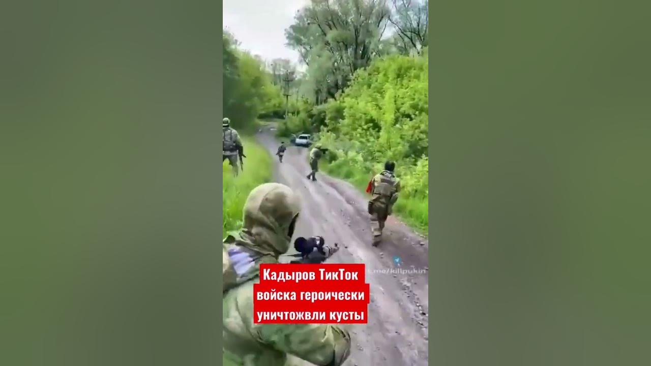 Кадыров тик ток. Кадыровцы. Полигон молькино чвк вагнера. Жена кадырова. Кадыровцы тик ток войска.