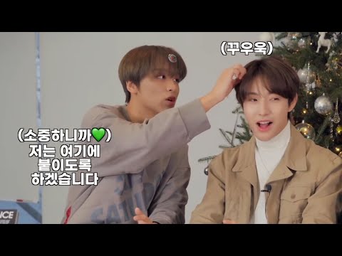 역시 해찬 런쥔은 티격태격해야 제맛이지(그래도 서로가 너무 소중하대🤭)