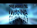 Dave andres riel  i wanna nana original mix