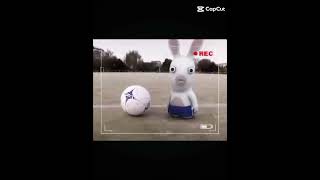 rabbids tanda tanya?❓