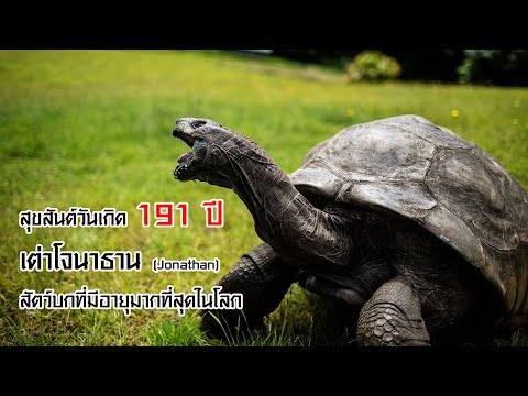 สุขสันต์วันเกิด 191 ปี ‘เต่าโจนาธาน’ สัตว์บกที่มีอายุมากที่สุดในโลก #ที่สุดในโลก