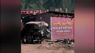 AHSAN  JAVED -  PEELAY PATTAY (OFFICIAL AUDIO )