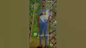 تايه في دنيتنا ونسيت طريق بيتنا 