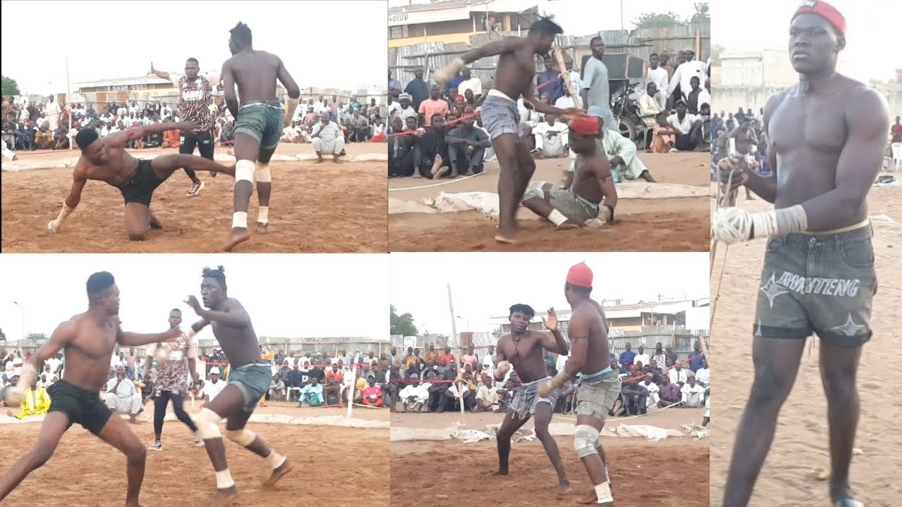 Yaki yabaci ayi kullum ya sumarda garkuwan kurma shagon d,kwaro yabuge bahagon autan mamman 