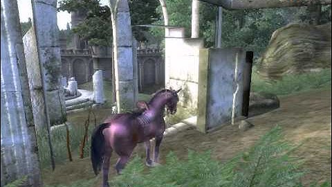 Oblivion Elder Scrolls clipping bug