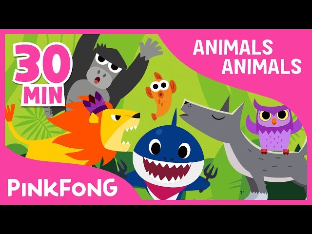 Animals, Animals | Baby Shark and More | +Compilation | Animal Songs | Pinkfong Songs for Children class=