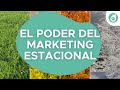 Por Qué Es Importante Aplicar El Marketing Estacional