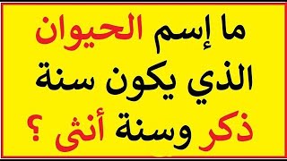 ما اسم الحيوان الذي يكون سنة ذكر وسنة انثى