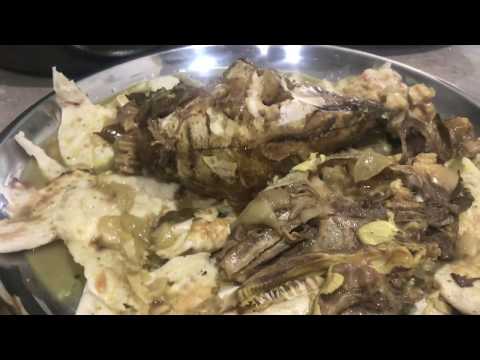 الباجه البغداديه الاصيله 