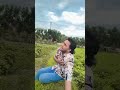 জন্ম হইতে কপাল আমার পোড়া রানা বাপ্পির গান #shortvideo