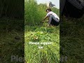 vlog shayam #trending #vairalvideo #share #comment #please support kar