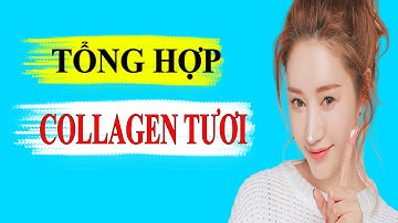 [ Review ] Các Loại Collagen Tươi Tốt Nhất 2020