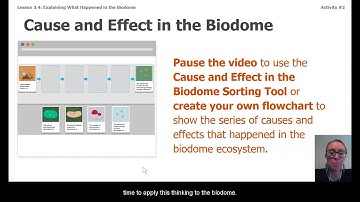 Science, 7th Grade, 6/16, Matter and Energy in Ecosystems