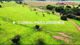 WhatsApp Video 2026 08 06 at 15 16 51 screenshot 2