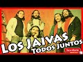 LOS JAIVAS y su  batería - reacción a TODOS JUNTOS (vina del mar 1983)  en el clásico de la semana