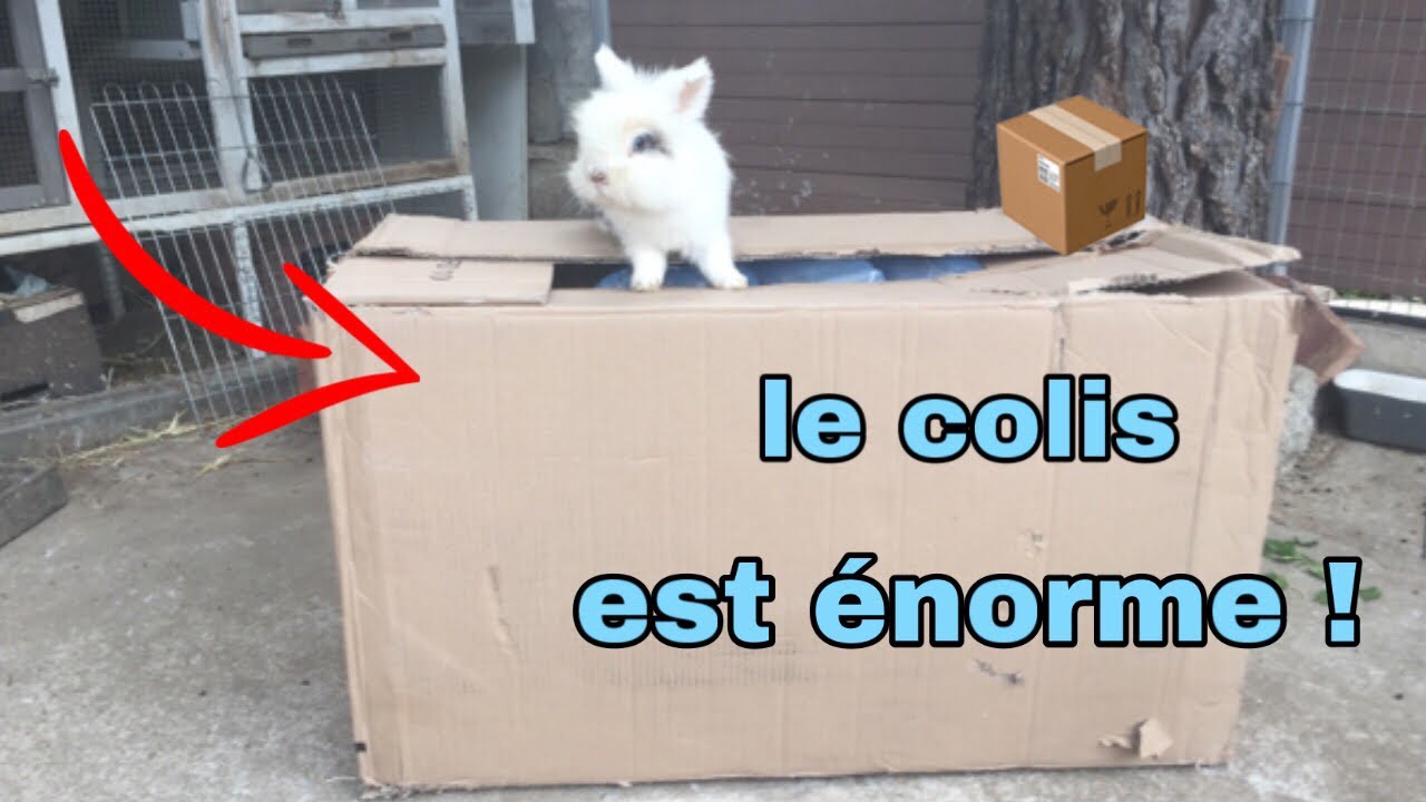 On ouvre un énorme colis de chez zooplus ( bitiba) !